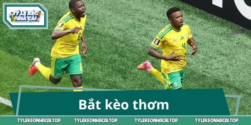 Bắt kèo thơm trong trận Nam Phi - Canada