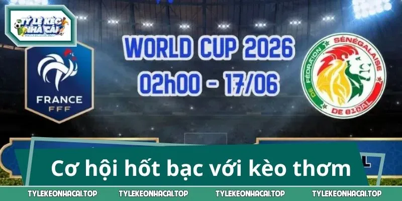 Giải mã cơ hội hốt bạc với bảng kèo thơm